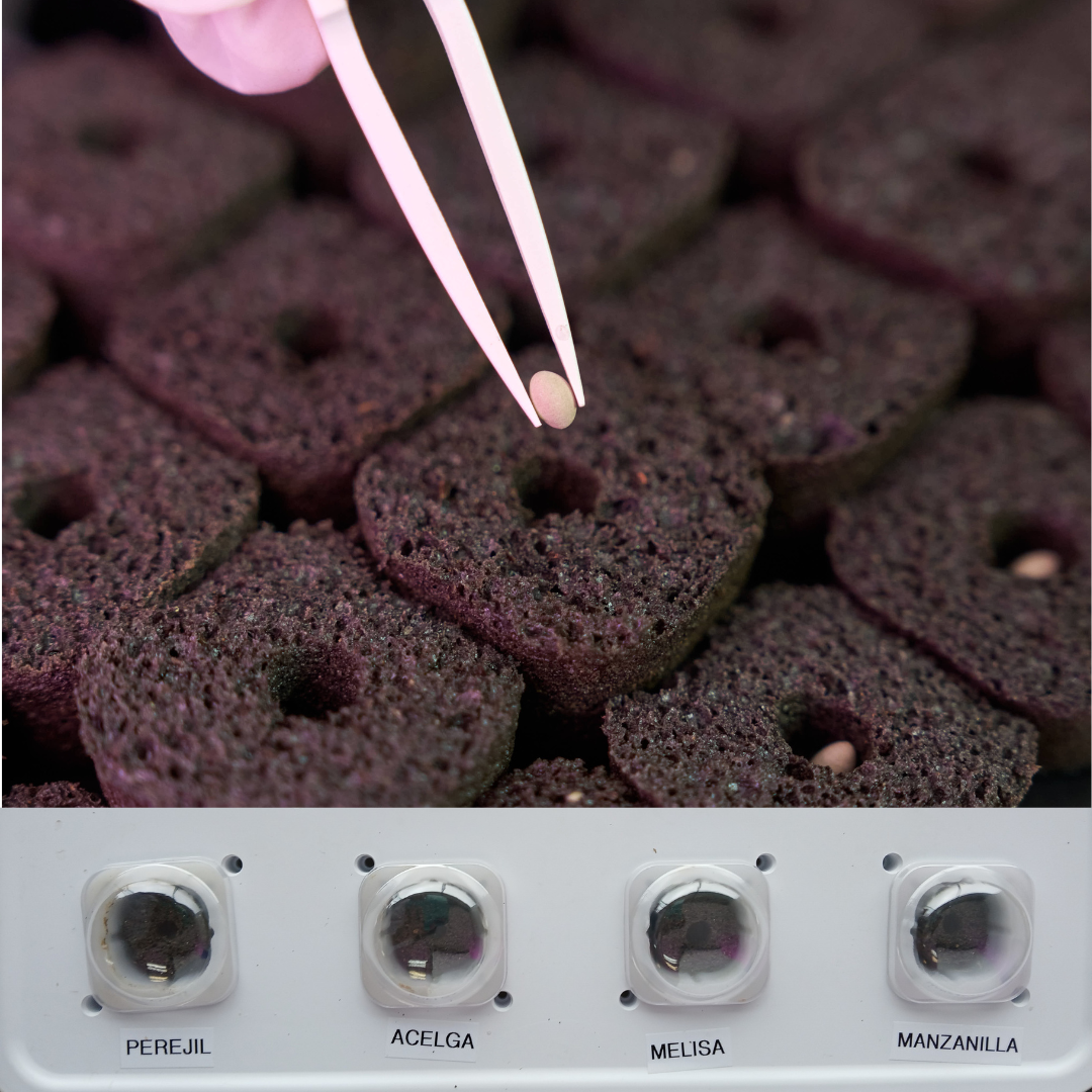 Kit de Germinación